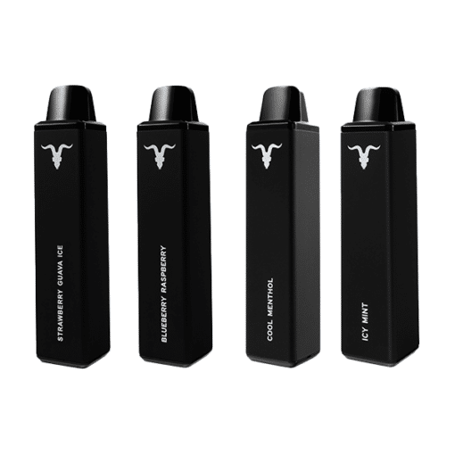 Ignite V600 Disposable Vape (600 Puffs)